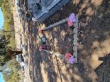 image of grave number 968505